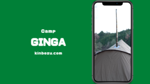 ゼインアーツGINGAレビュー